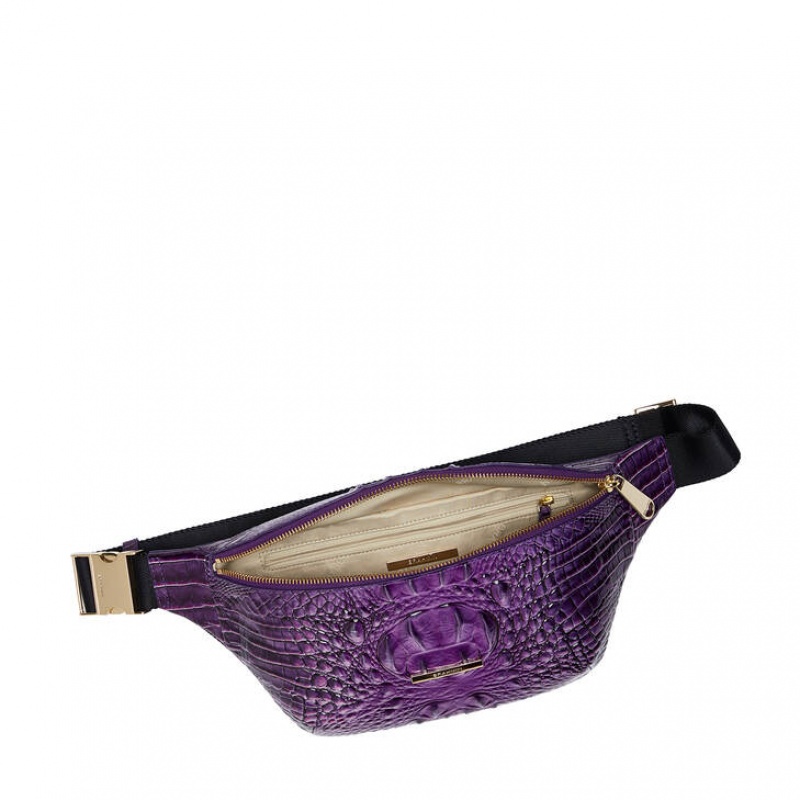 Purple Women's Brahmin Harker Crossbody Bags | 2051SOPXA