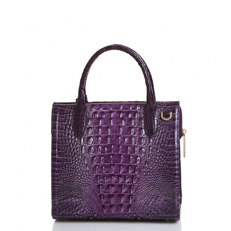 Purple Women's Brahmin Small Caroline Satchel Bags | 4057BNYFZ