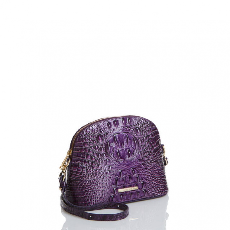 Purple Women's Brahmin Small Georgina Crossbody Bags | 3524NAVFK