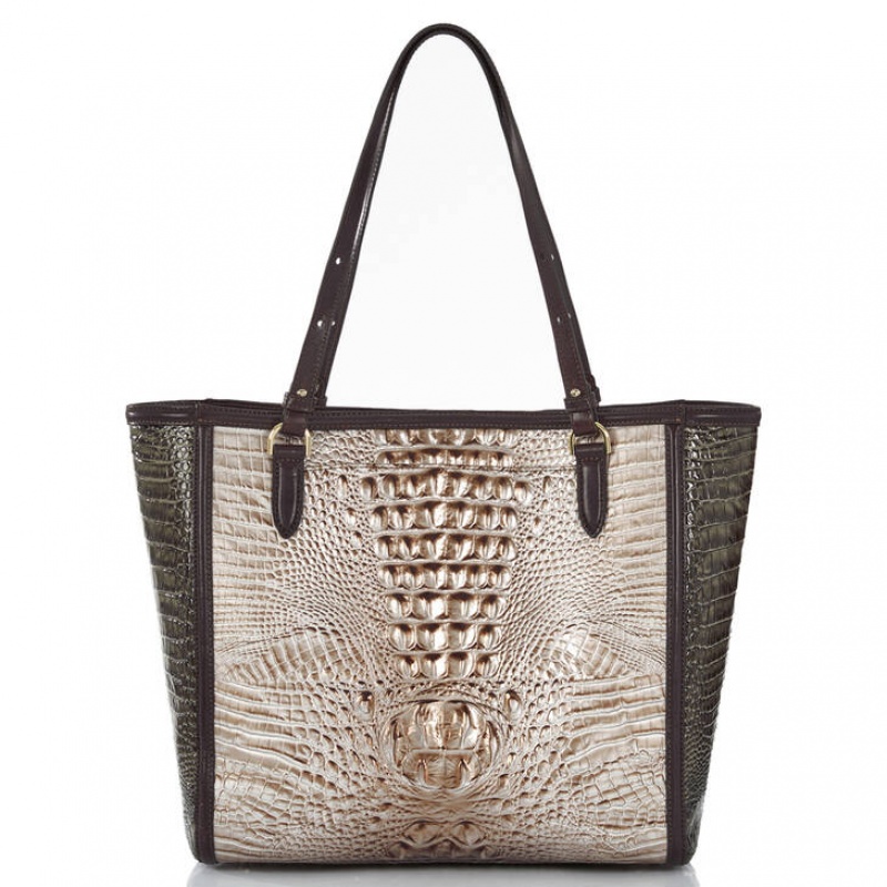 Silver Women's Brahmin April Tote Bags | 6302OWQNL