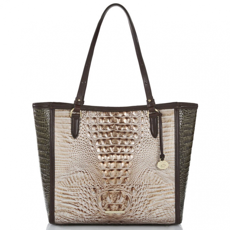 Silver Women\'s Brahmin April Tote Bags | 6302OWQNL