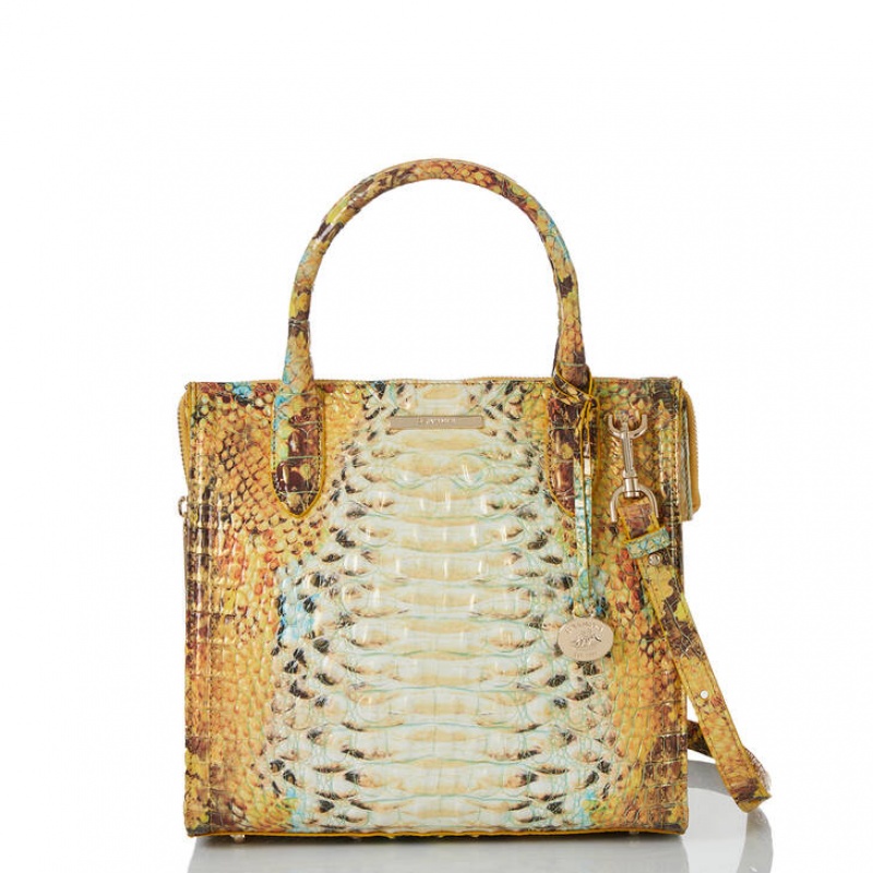 Yellow Women's Brahmin Small Caroline Satchel Bags | 0375XFGND